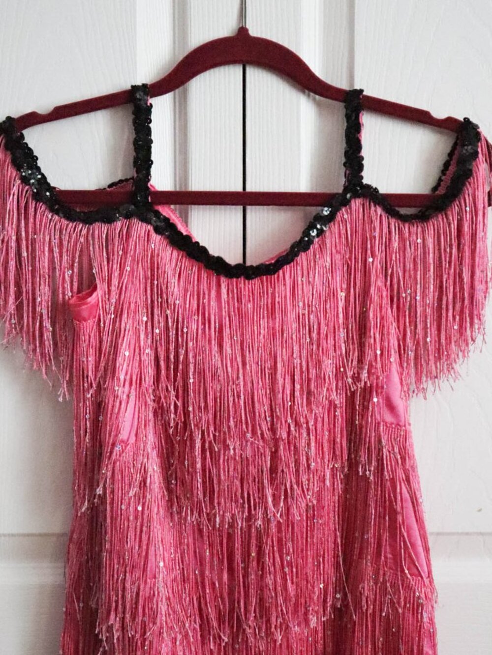 Chasing Fireflies Girls' Flapper Dress Costume Sz 12 Fringe Sequins Dolly Parton - Picture 2 of 8